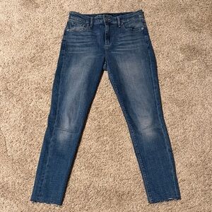 Lucky Brand Dark Blue Bridgette Skinny Jeans